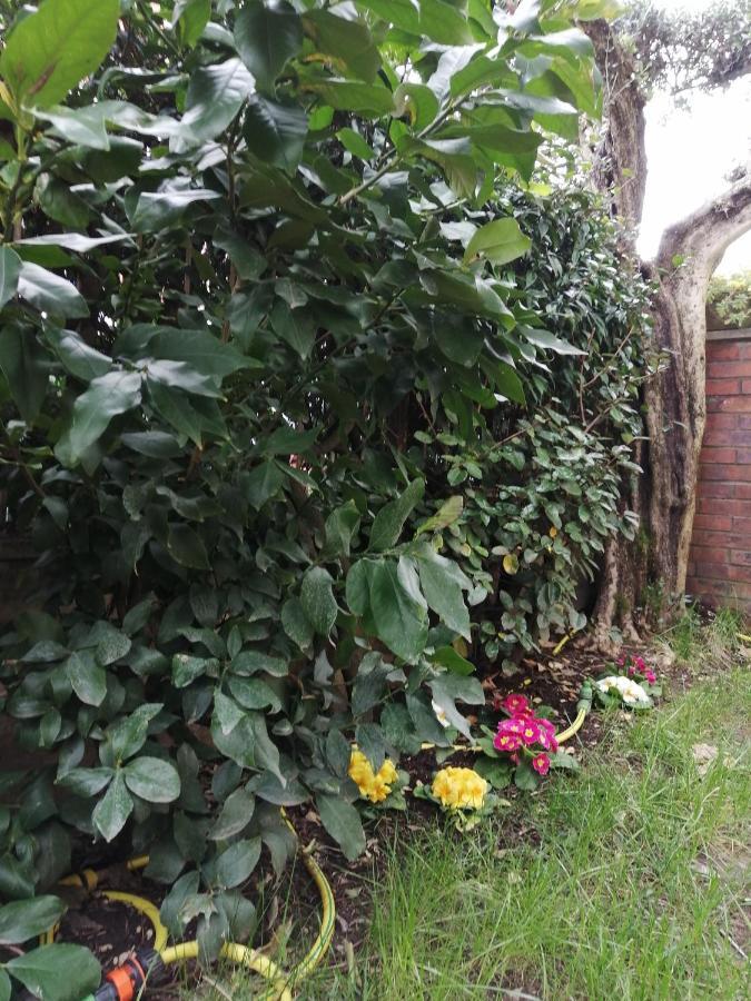 Casa Nonnanna - Nonnanna Home Viareggio Exteriör bild